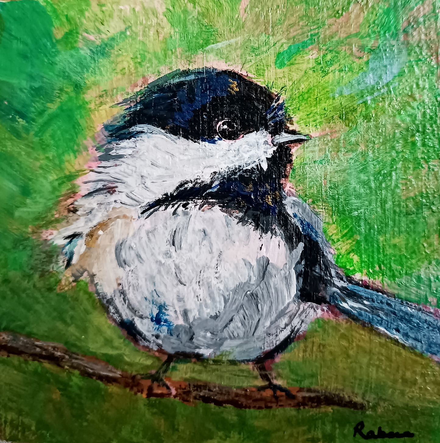 Black Chickadee