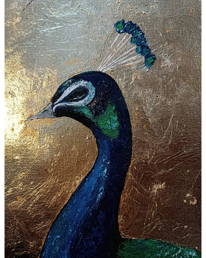 Peacock's Glory