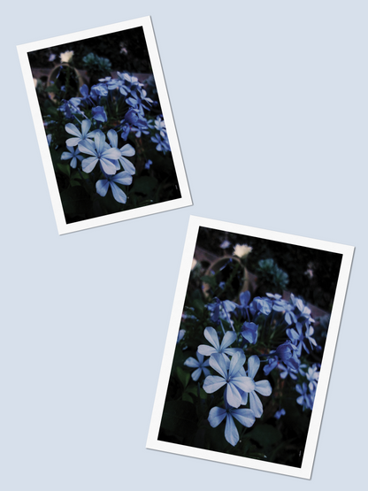 Blue - Photo Card